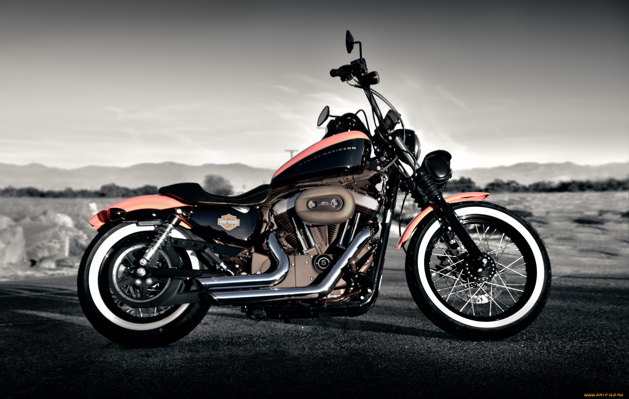 harley davidson, , harley-davidson, , , , 